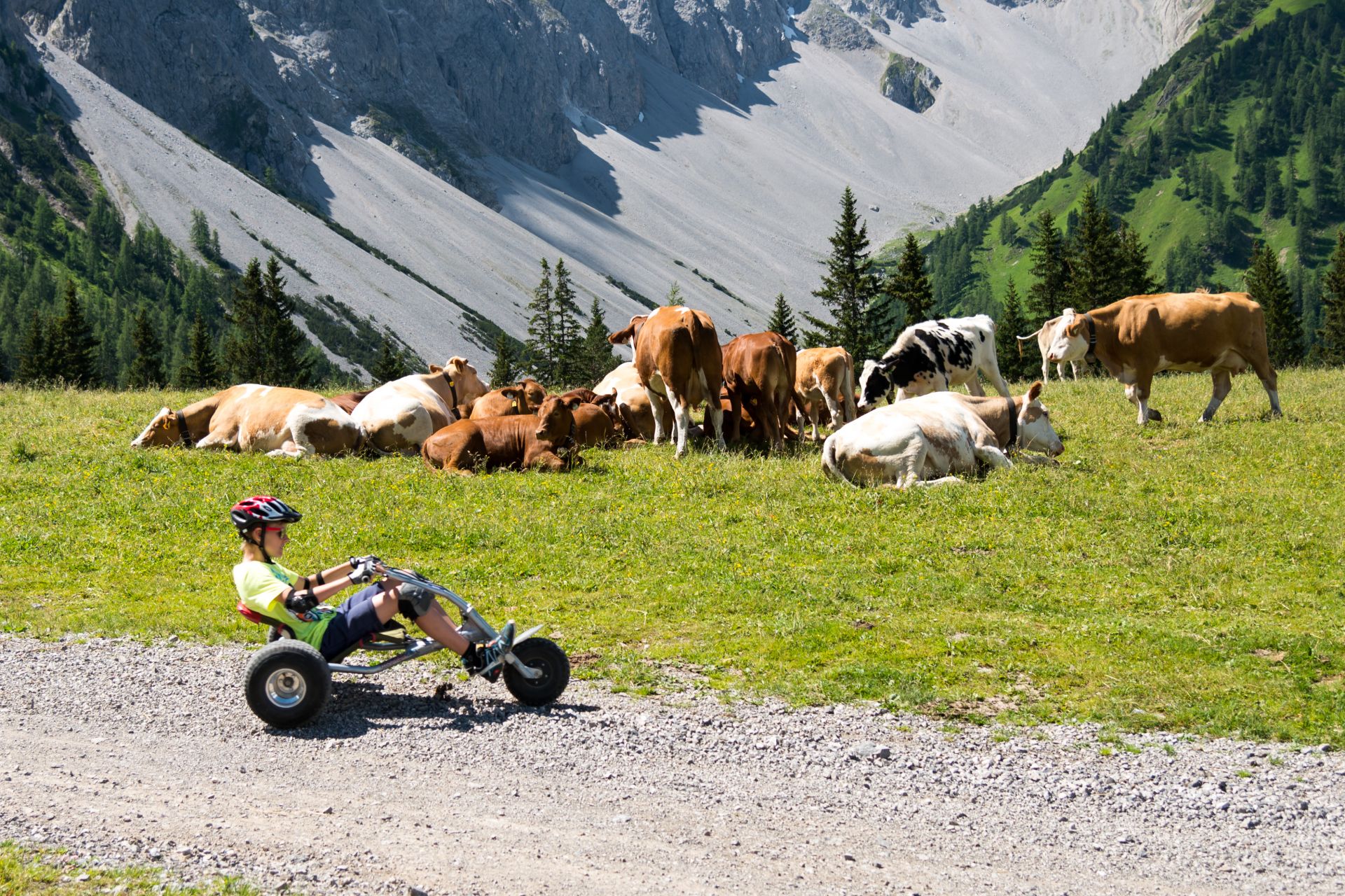 Mountaincart vor Bergpanorama mit Kühen